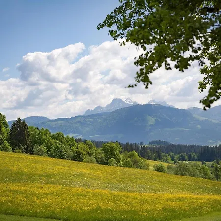 Weitblick * Going am Wilden Kaiser